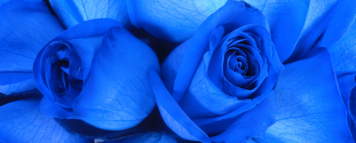 Blue Moon