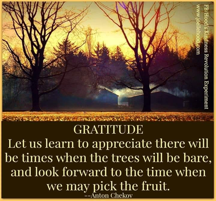 Gratitude
